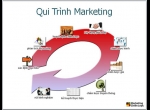 Qui trình marketing