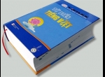 Tiếng Việt và tác động của ngôn ngữ quảng cáo